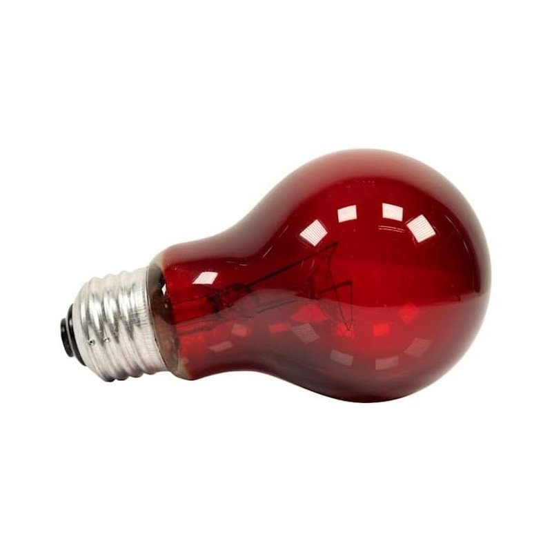 ZOOMED LAMPADA REPTY BULB NIGHTLIGHT 40W