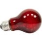 ZOOMED LAMPADA REPTY BULB NIGHTLIGHT 40W