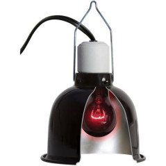 ZOOMED LAMPADA REPTY BULB NIGHTLIGHT 60W