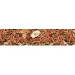 MANITOBA MY PARROTS SENSIBLE ESTRUSO KG2