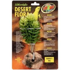 ZOOMED NATURALISTIC DESERT FLORA BURRO'S TAIL