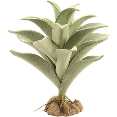 ZOOMED NATURALISTIC DESERT FLORA SILVER MULLEIN