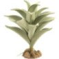 ZOOMED NATURALISTIC DESERT FLORA SILVER MULLEIN