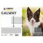 CROCI DIVISORIO AUTO GALWAY TUBOLARE A 3 TRAVERSE PER CANI