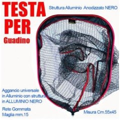 OLYMPUS TESTA GUADINO 55X45CM