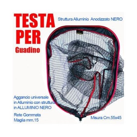 OLYMPUS TESTA GUADINO 55X45CM