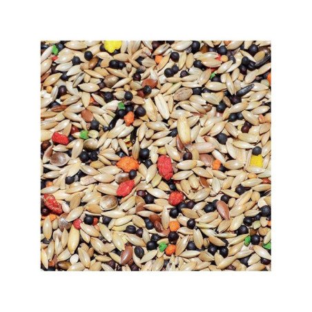 MANITOBA MISCUGLIO CANARINI CON BISCOTTO T1