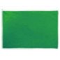 GFN BANDIERA VERDE DI SEGNALAZIONE IN STAMINA