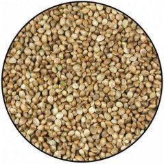 VERSELE CANAPA DA 900 GR