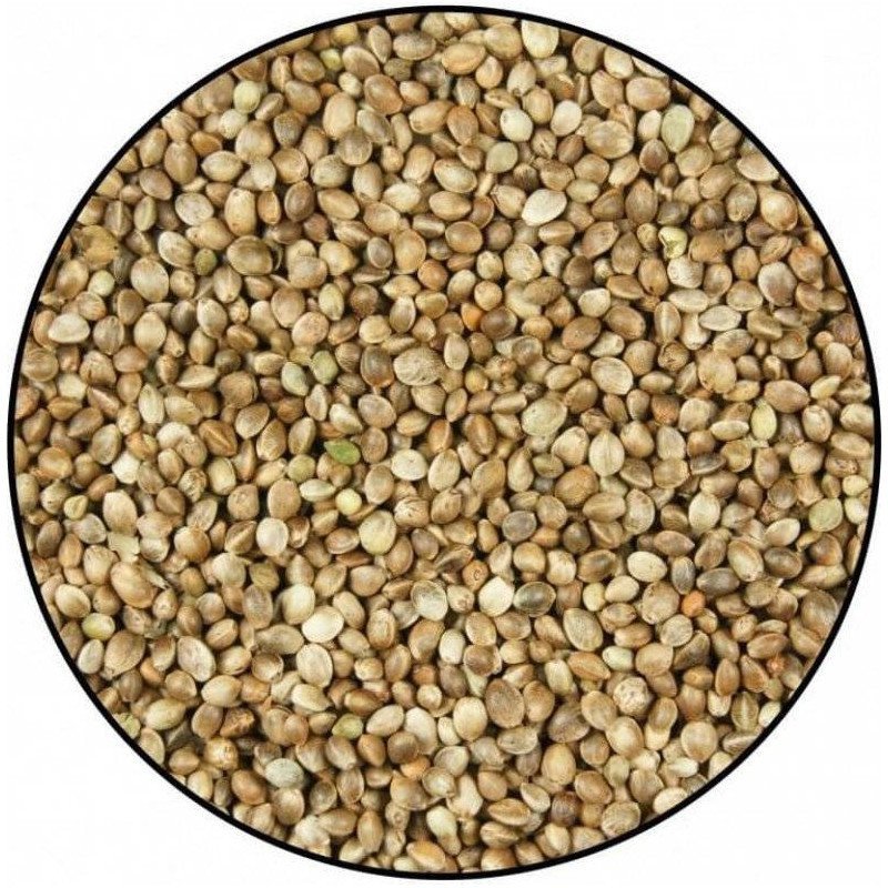 VERSELE CANAPA DA 900 GR