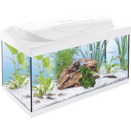 TETRA STARTER LINE LED BIANCO 54 LITRI