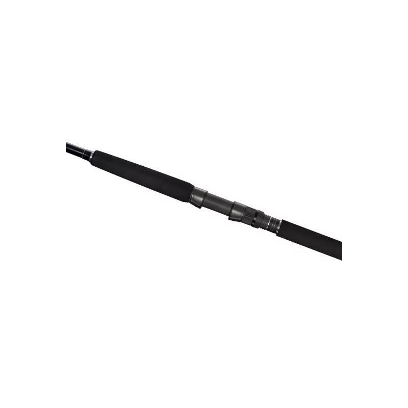 SHIMANO CANNA CURRENTSNIPER BB 2,90MT 80GR