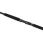 SHIMANO CANNA CURRENTSNIPER BB 2,90MT 80GR
