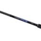 SHIMANO CANNA CURRENTSNIPER BB 2,90MT 80GR