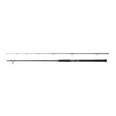 SHIMANO CANNA CURRENTSNIPER BB 2,90MT 80GR
