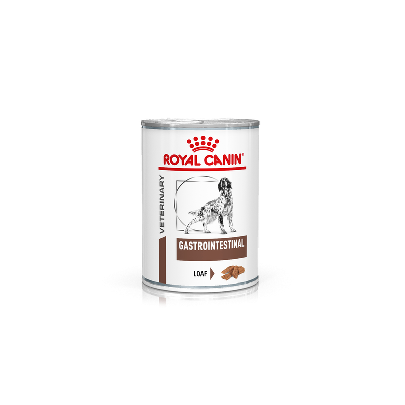ROYAL CANIN GASTROINTESTINAL CANE 400GR