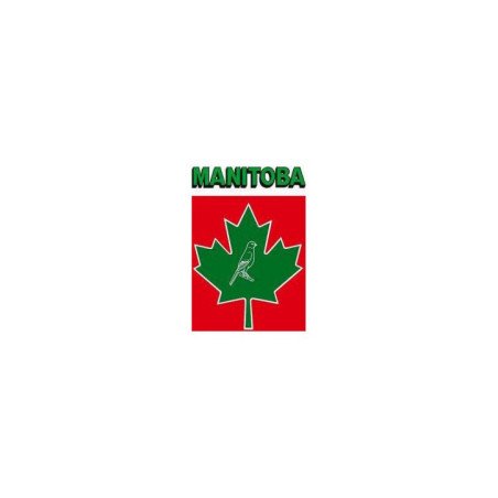 MANITOBA MISCELA CANARINI T3 PLATINO 20KG.