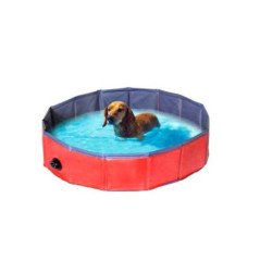 CAMON PISCINA PER CANI