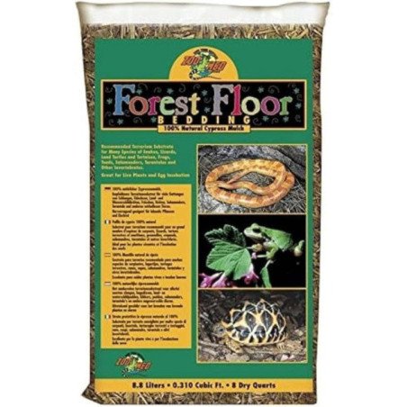 ZOOMED FOREST FLOOR PER TERRARI 4.4 LT