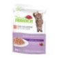 NATURAL TRAINER MATURE GATTO MANTENIMENTO AL SALMONE
