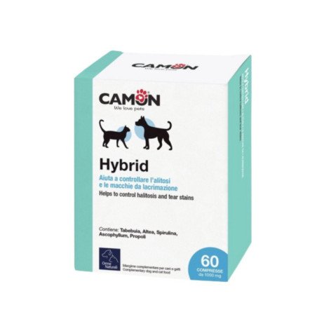 CAMON HYBRID PER IL CONTROLLO DELL'ALITOSI 60 COMPRESSE