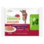 NATURAL TRAINER FLOW PACK ADULT SALMONE 4X85G