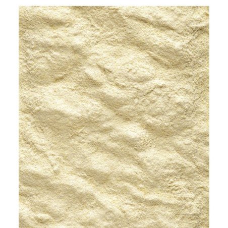 VERSELE NUTRIBIRD A19 PAPPA IMBECCO PAPPAGALLI 3KG