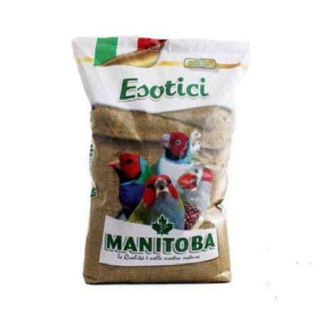 MANITOBA MISCUGLIO ESOTICI REGOLARE