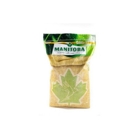 MANITOBA GIRASOLE PICCOLO IREGI 12.5KG