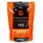 EVOLUTION PALLINI 0,30 DI PRECISIONE 1KG
