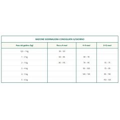 OASY GATTO ORIGINAL FORMULA KITTEN POLLO