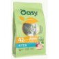 OASY GATTO ORIGINAL FORMULA KITTEN POLLO