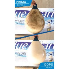 BLUE MARINE SGRASSANTE FORZA 100