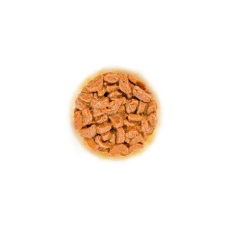 ROYAL CANIN GATTO UMIDO AGEING GRAVY 15+ 12X85GR