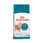 ROYAL CANIN GATTO AGEING 11+