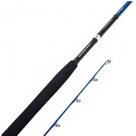 SAVAGE CANNA SG2 SHORE JIGGING MH 30-100 3.05MT
