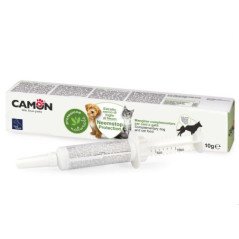 CAMON NEESTOP 10GR