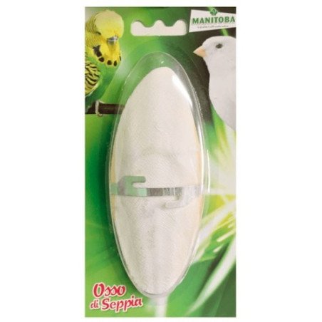 2GR033 PORTA OSSO DI SEPPIA CON FERRI