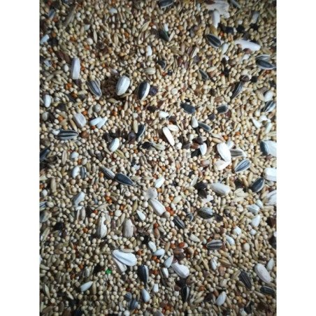 MANITOBA MISCUGLIO AUSTRALIANO 20KG