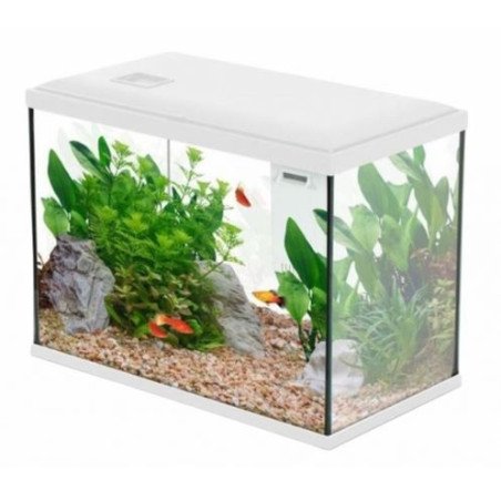 ZOLUX ACQUARIO INITIO 40 DA 24LT