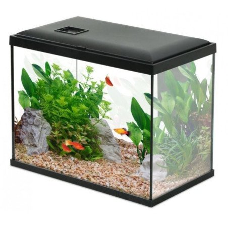 ZOLUX ACQUARIO INITIO 40 DA 24LT