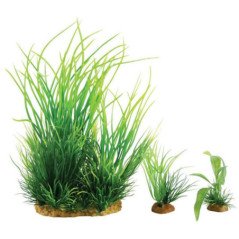 ZOLUX PLANTKIT SMALL NUMERO 1