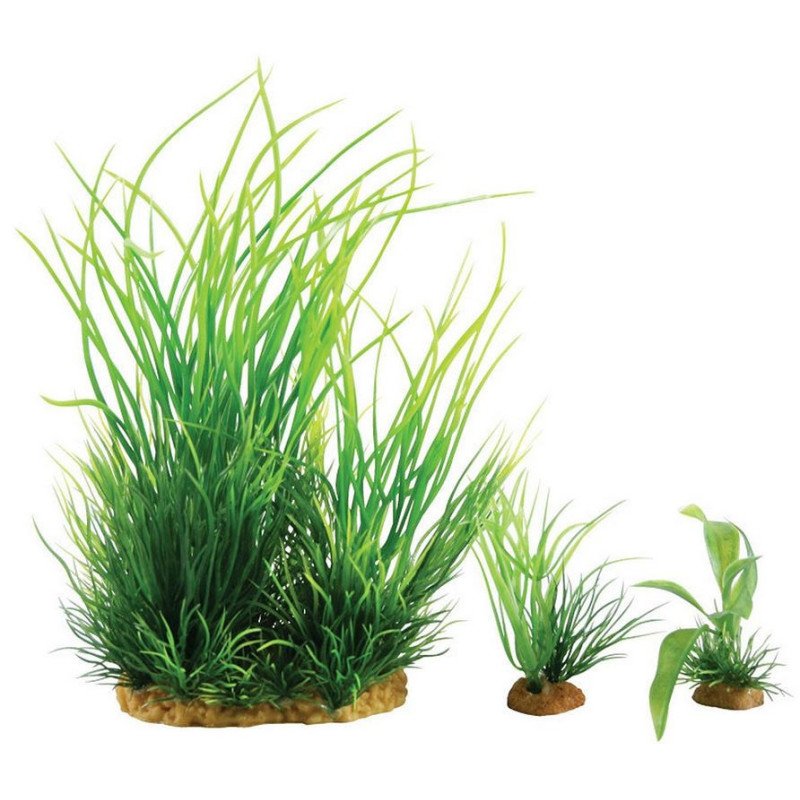 ZOLUX PLANTKIT SMALL NUMERO 1