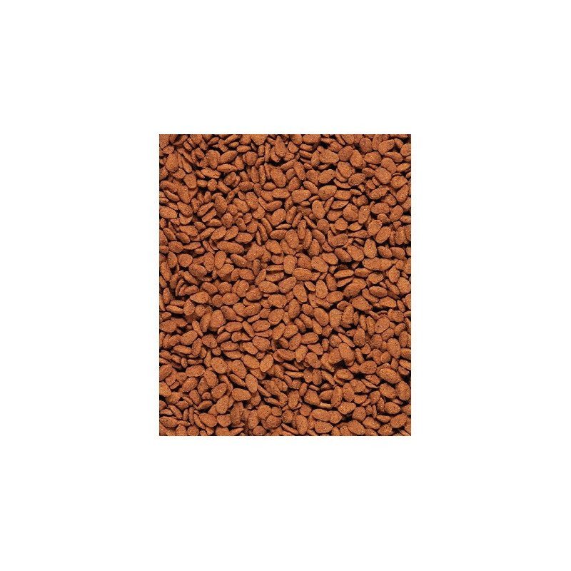 VERSELE LAGA ESTRUSO NUTRIBIRD G18 ORIGINAL 10KG