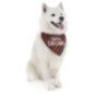 LEOPET CANE BANDANA NATALIZIA