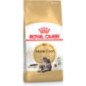 ROYAL CANIN GATTO MAINE COON