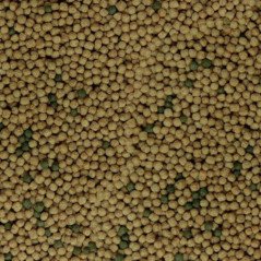 SERA RAFFY BABY GRAN NATURE 100ML