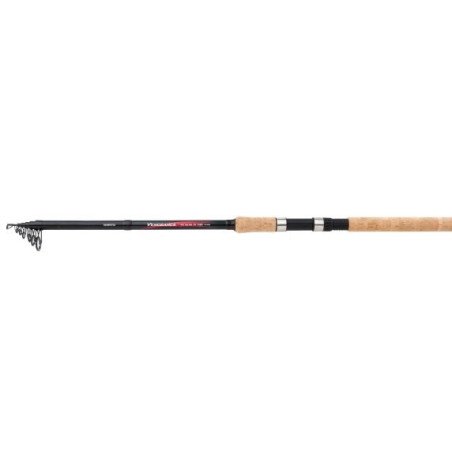 SHIMANO CANNA VENGEANCE AX TELESCOPICA 3.30MT 40-80GR