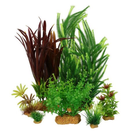 ZOLUX PLANTKIT LARGE NUMERO 4