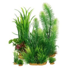 ZOLUX PLANTKIT LARGE NUMERO 3